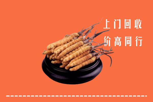高价求购：凉山回收散虫草